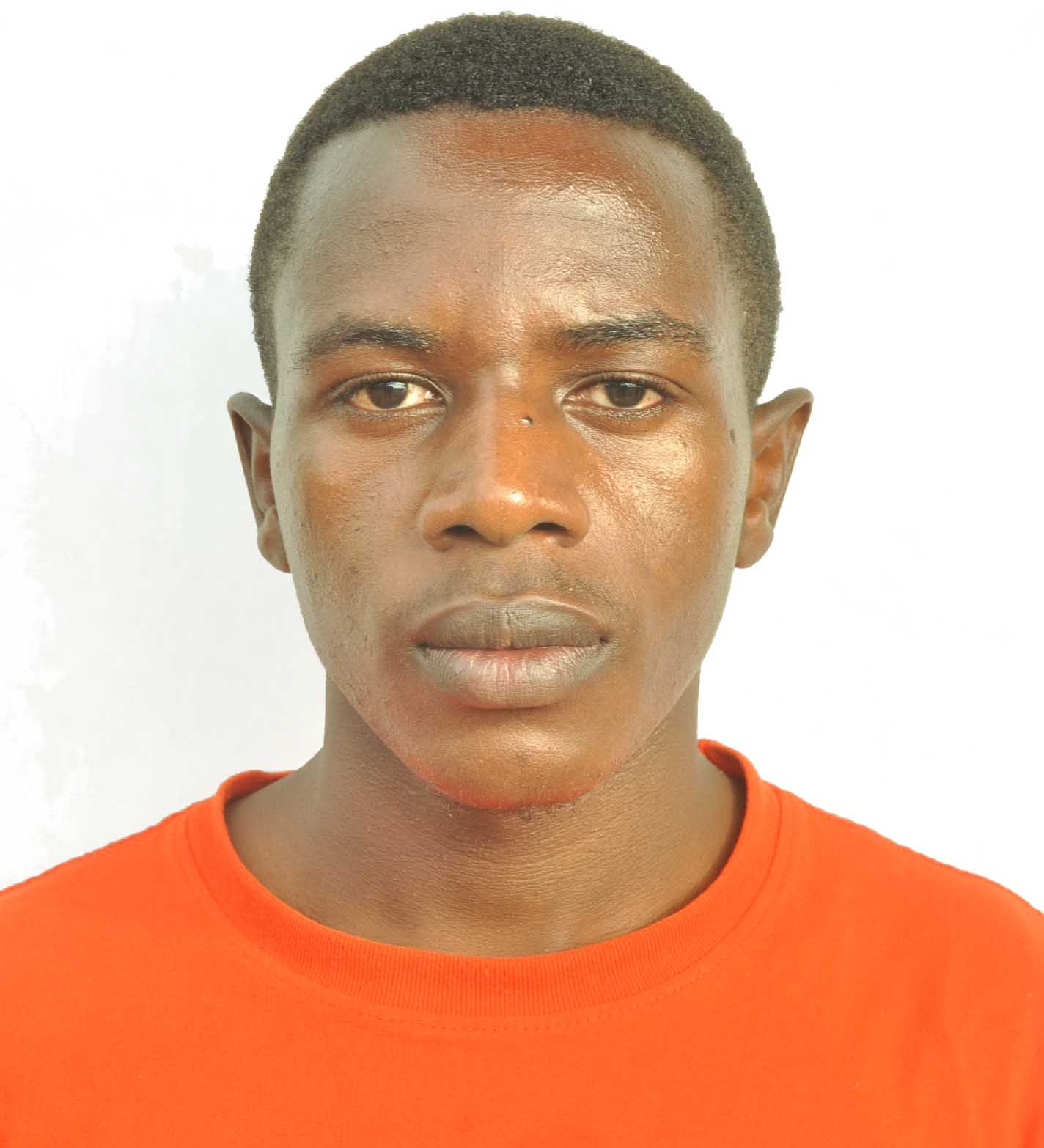 Team Member 2